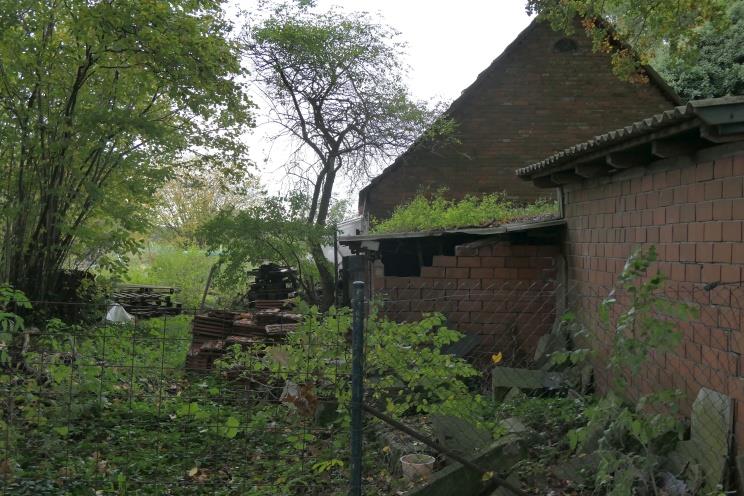 niedersachsen 0014 K 0007/2023 Schierelberg 3, 49406 Drentwede 6