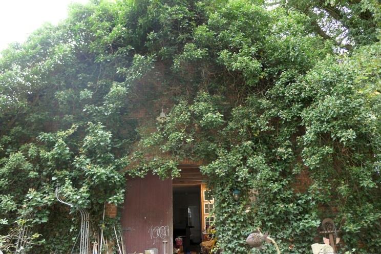 Zweifamilienhaus in Schierelberg 3, 49406 Drentwede - Bild 5
