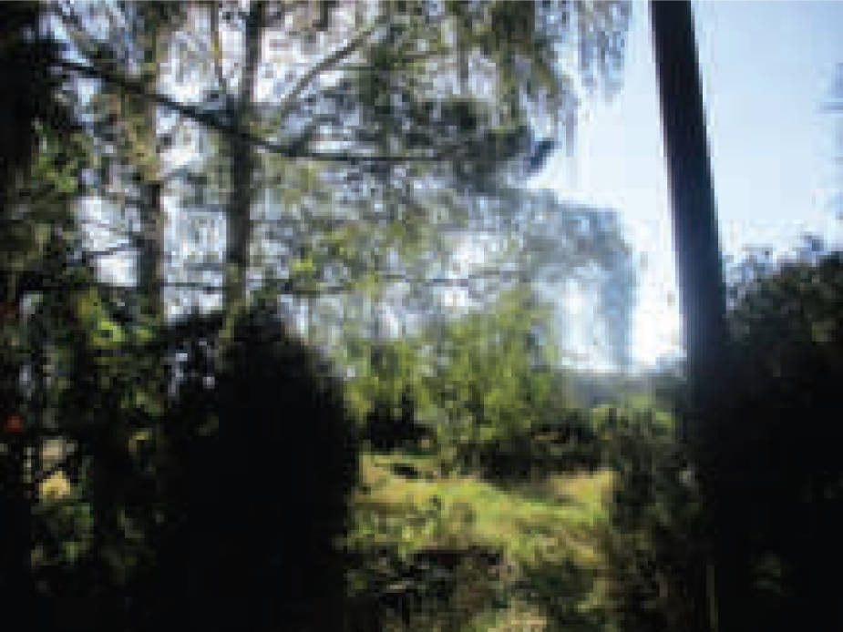 niedersachsen 0014K0008-2023 Aschener Straße 38, 49356 Diepholz, Aschen 12