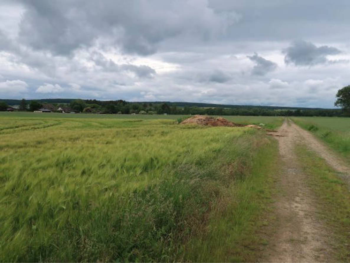 niedersachsen 0014K0009-2024 Hundemarkt bzw. Auf der Laake, 38279 Sehlde
