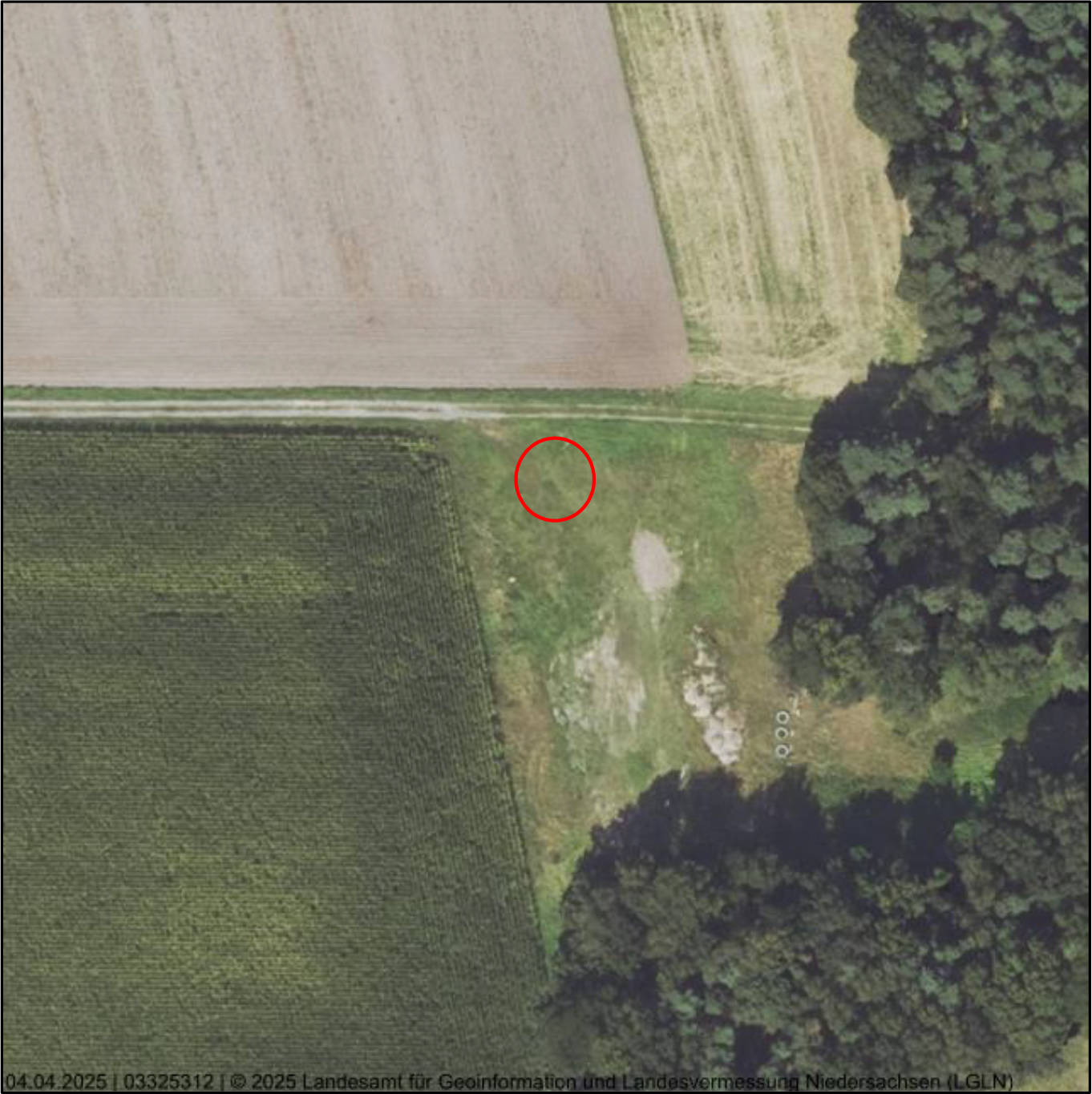 unbebautes Grundstück in Im neuen Lande, 49448 Brockum - Bild 5