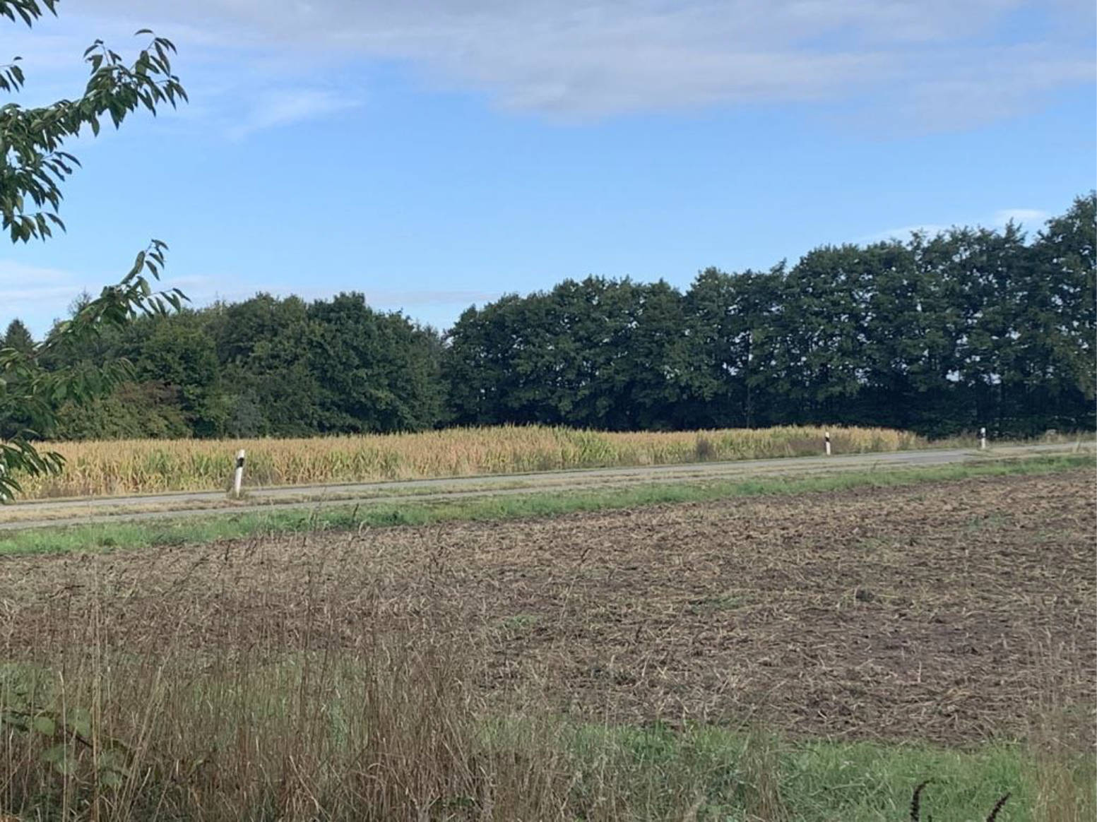 niedersachsen 0014K0012-2020 Zur Sette Nr. 128, Im Wiesenbruche, Hagenstraße 13, 49448 Brockum u. Lemförde 15