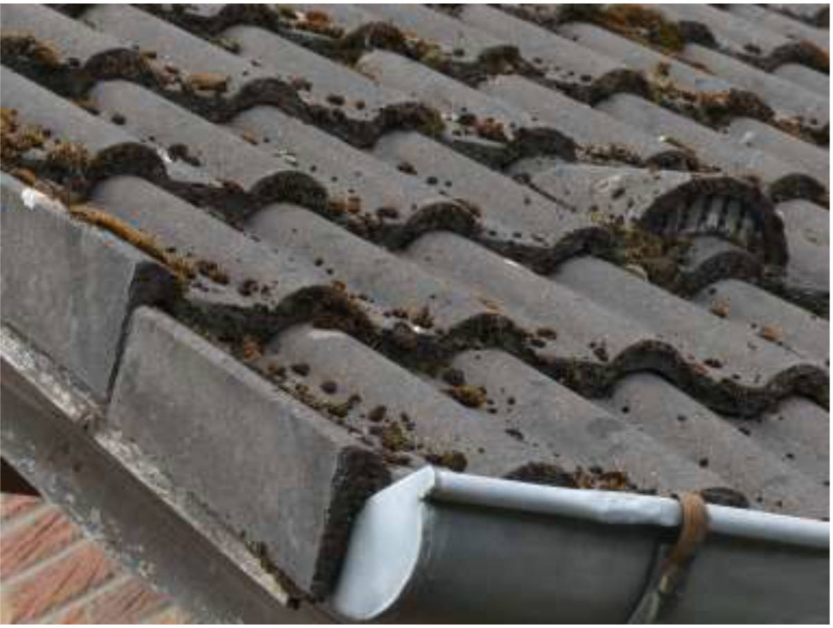 niedersachsen 0014 K 0030/2024 Kappenhöhe  11, 38229 Salzgitter, Gebhardshagen 17