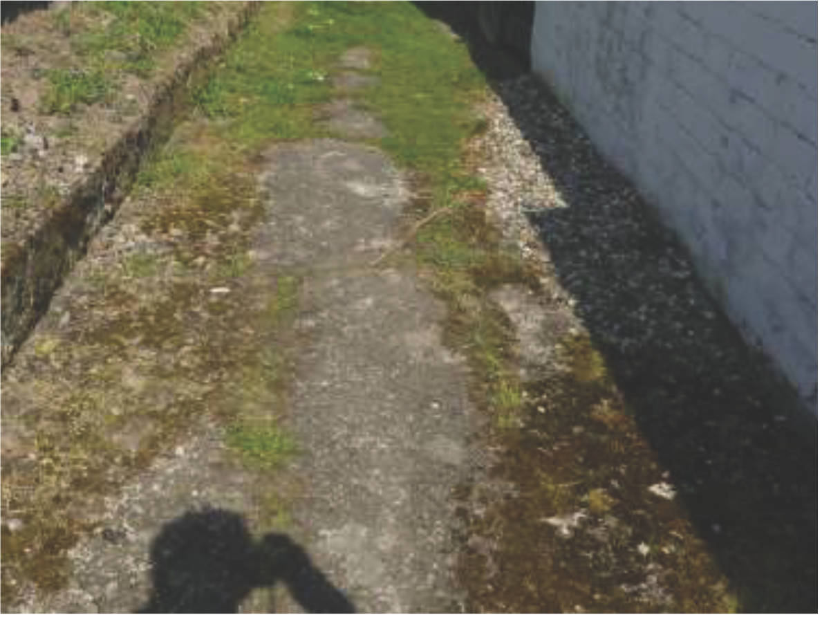 niedersachsen 0014 K 0034/2024 Am Hamberg 17, 38259 Salzgitter, Bad 8