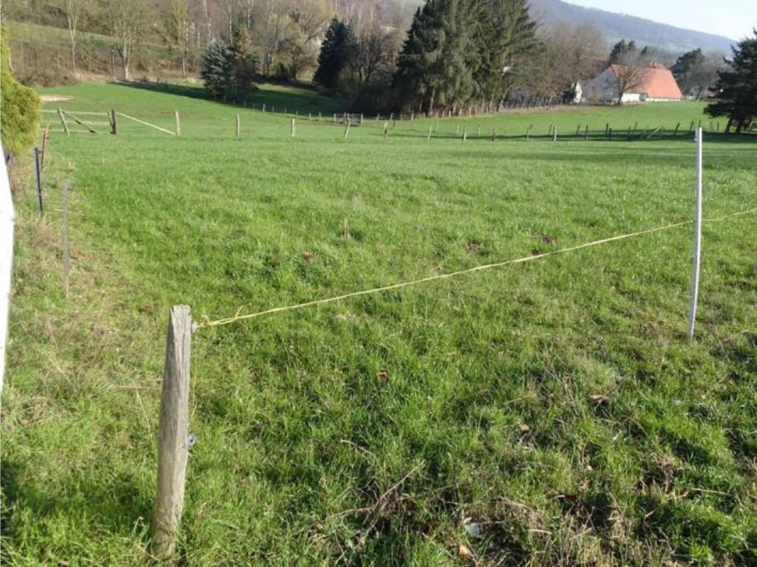 niedersachsen 0022K0009-2022 Am Schäferhof, 37574 Einbeck, Erzhausen