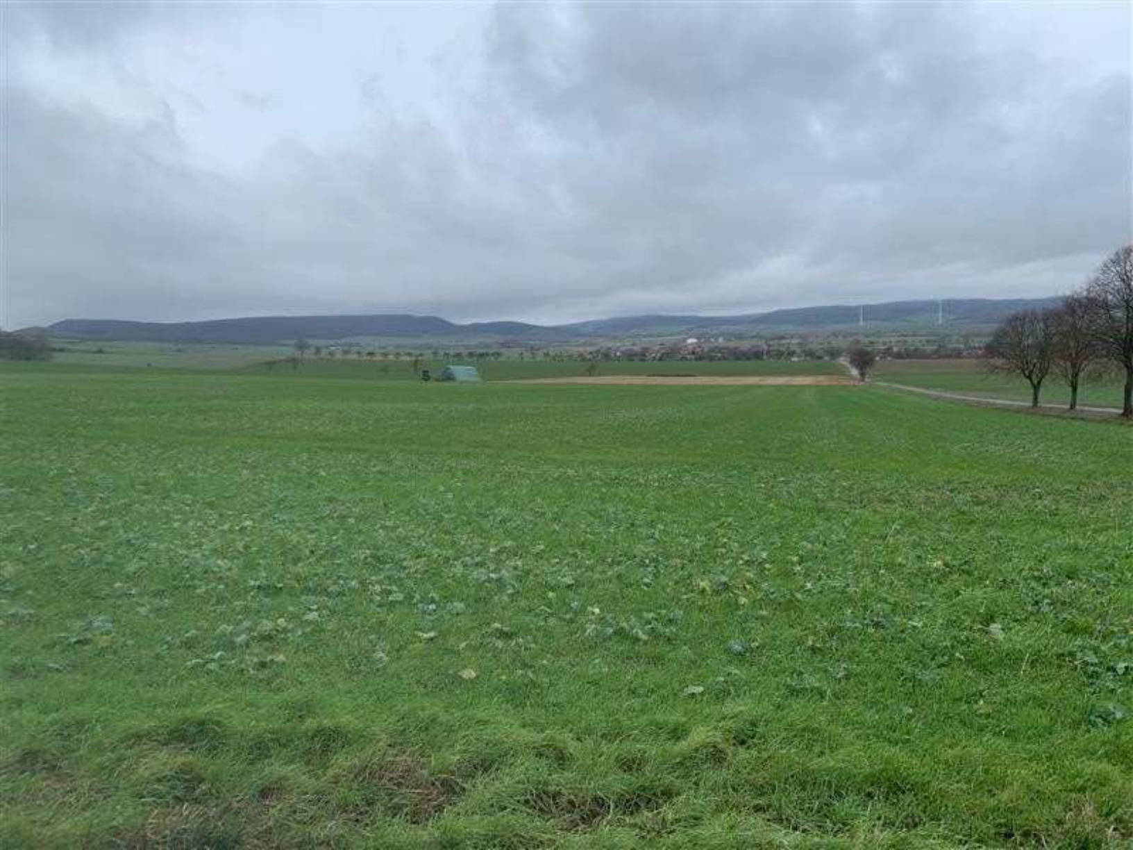 land- und forstwirtschaftlich genutztes Grundstück in Landwirtschaftliche Flächen, 37586 Dassel, Ellensen bzw. Krimmensen - Bild 4