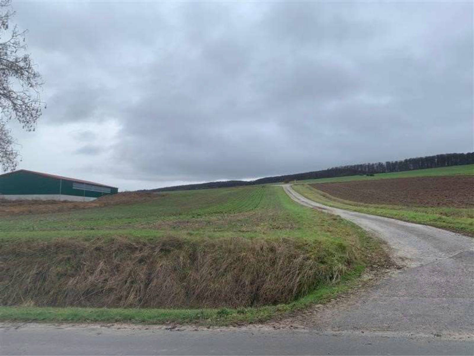 land- und forstwirtschaftlich genutztes Grundstück in Landwirtschaftliche Flächen, 37586 Dassel, Ellensen bzw. Krimmensen - Bild 2