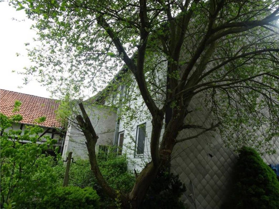 niedersachsen 0022 K 0015/2021 Grasweg 9, 37574 Einbeck, Naensen 7