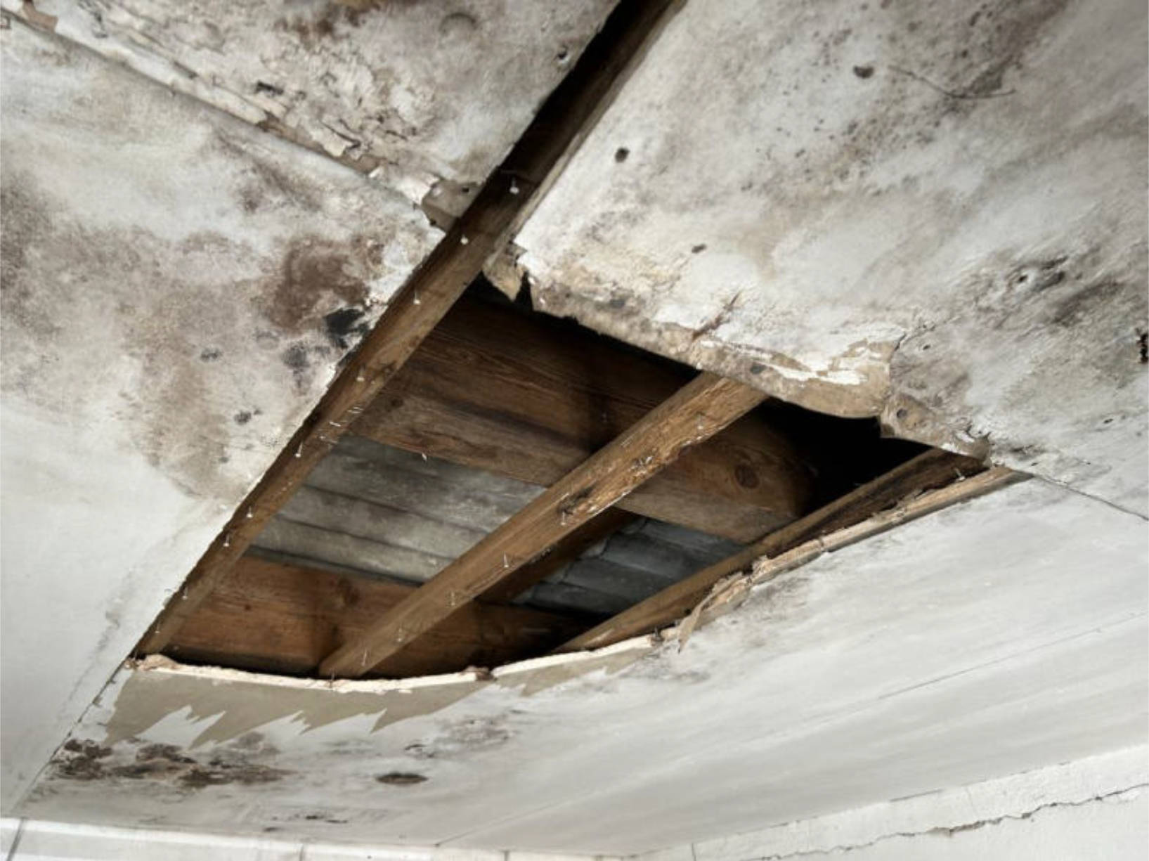 niedersachsen 0022 K 0021/2024 Gerichtsstraße 15, 37574 Einbeck, Greene 8