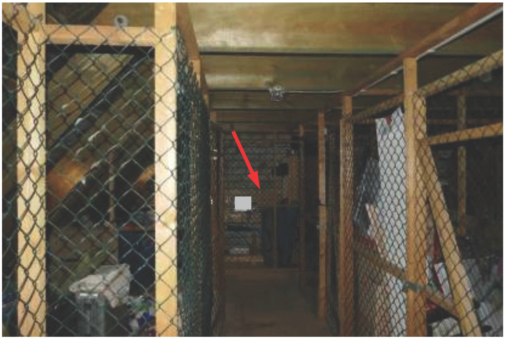 niedersachsen 0023K0007/2024 Hindenburgstraße 84, 21335 Lüneburg 7