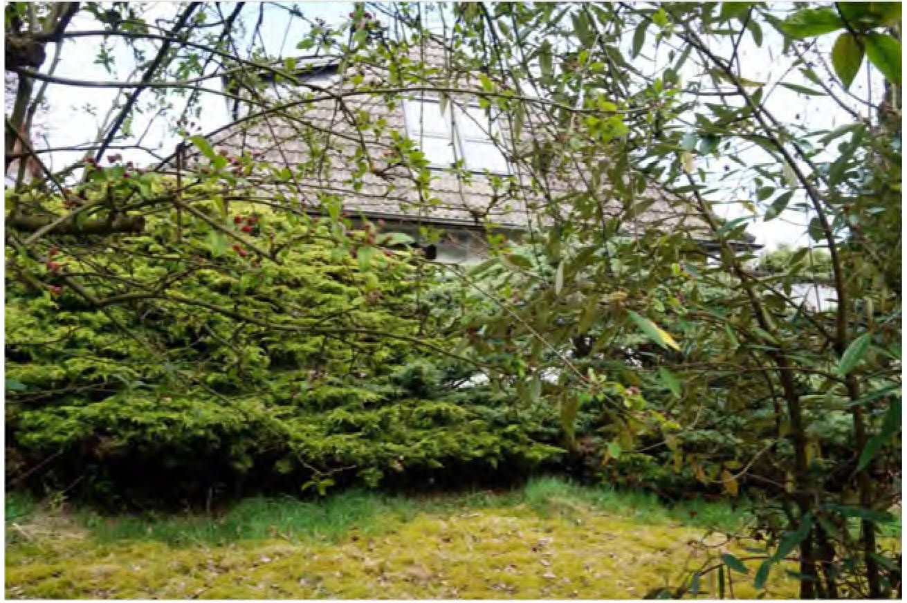 Einfamilienhaus in Agnes-Karll-Str. 7, 21409 Embsen - Bild 4