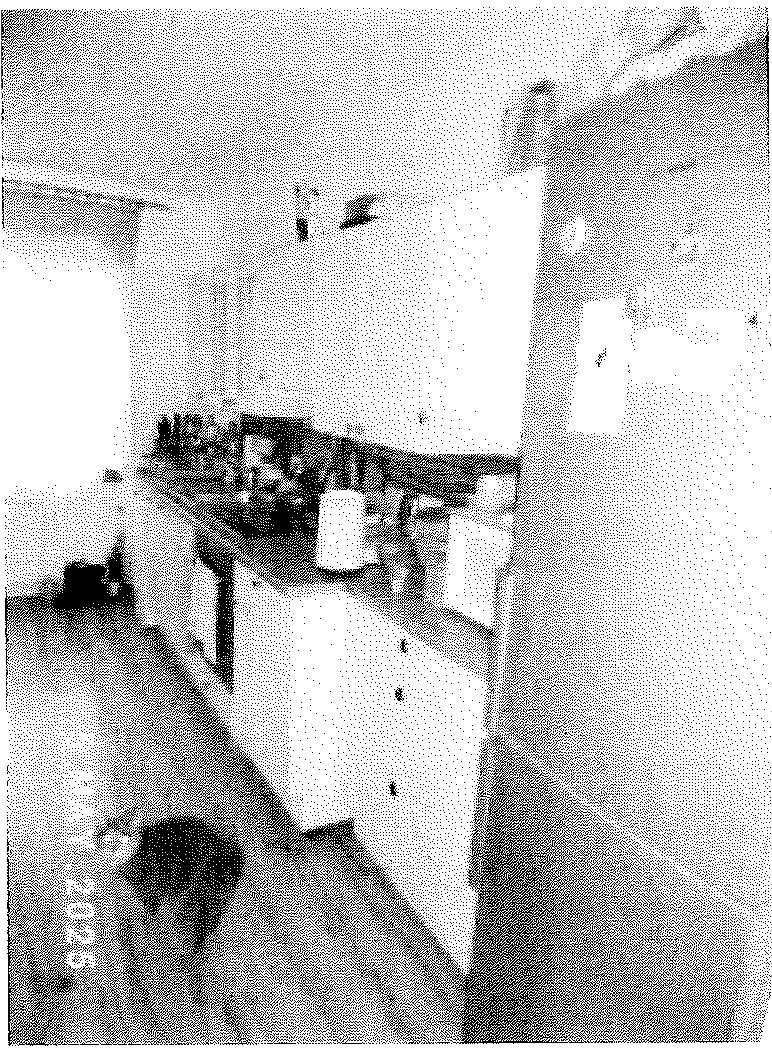 Doppelhaushälfte in Galgenbergstraße 3, 31135 Hildesheim, Oststadt - Bild 5