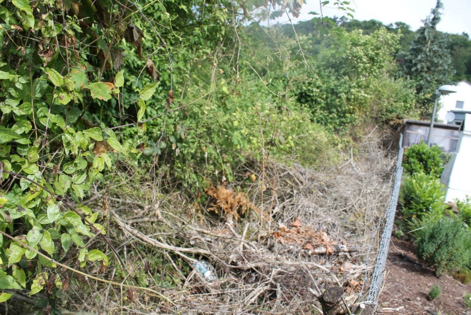 unbebautes Grundstück in Kolberger Straße, 31789 Hameln