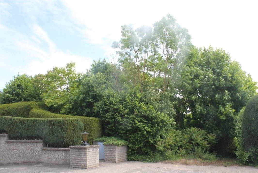 unbebautes Grundstück in Kolberger Straße, 31789 Hameln - Bild 2