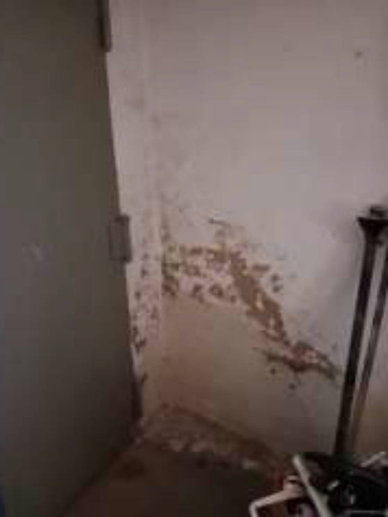 niedersachsen 0026 K 0012/2025 Torstr. 8, 31860 Emmerthal, Börry 34