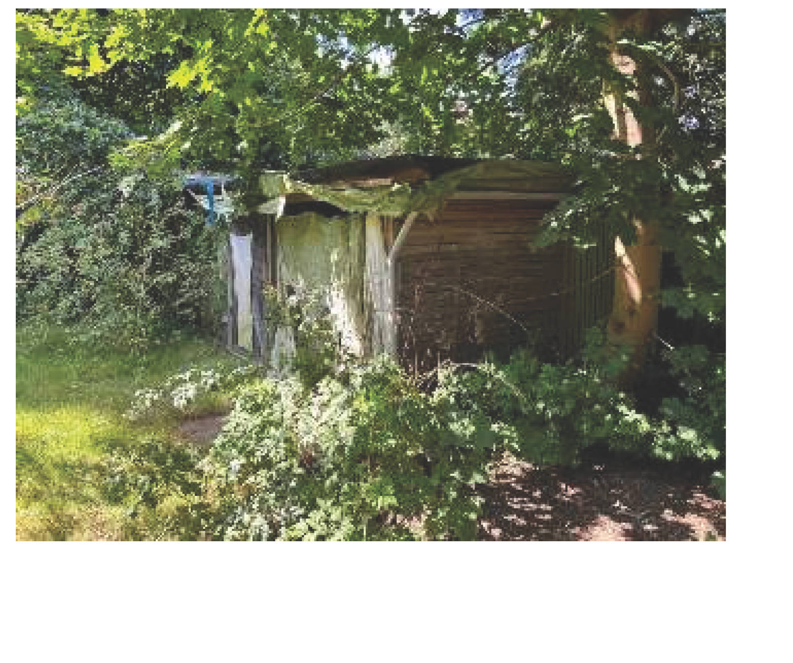 niedersachsen 0030K0022-2023 Gartenstraße 7, 29328 Faßberg 12