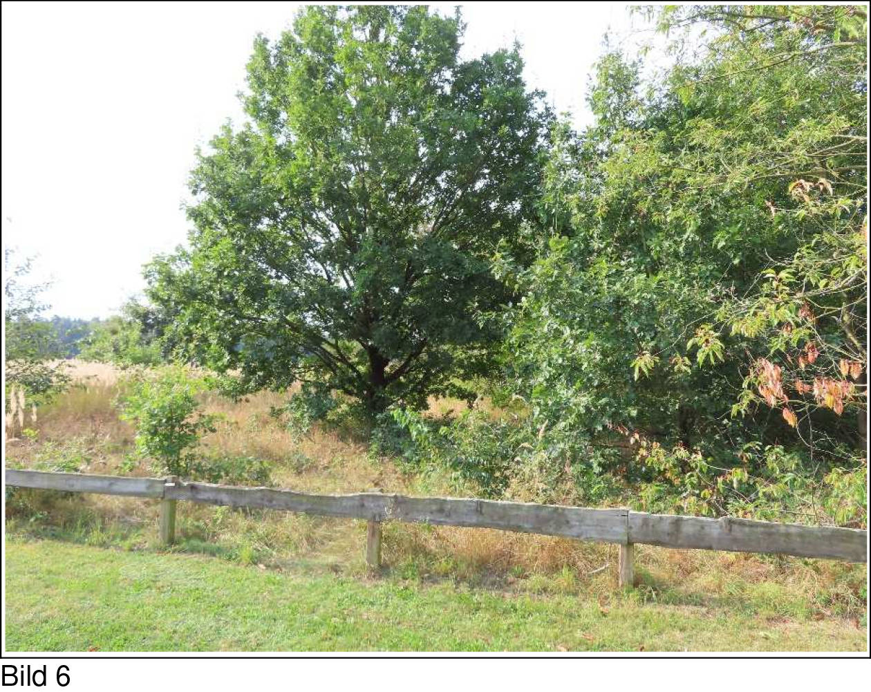 Baugrundstück in Im Trunnenmoor 14, 29351 Eldingen - Metzingen - Bild 3