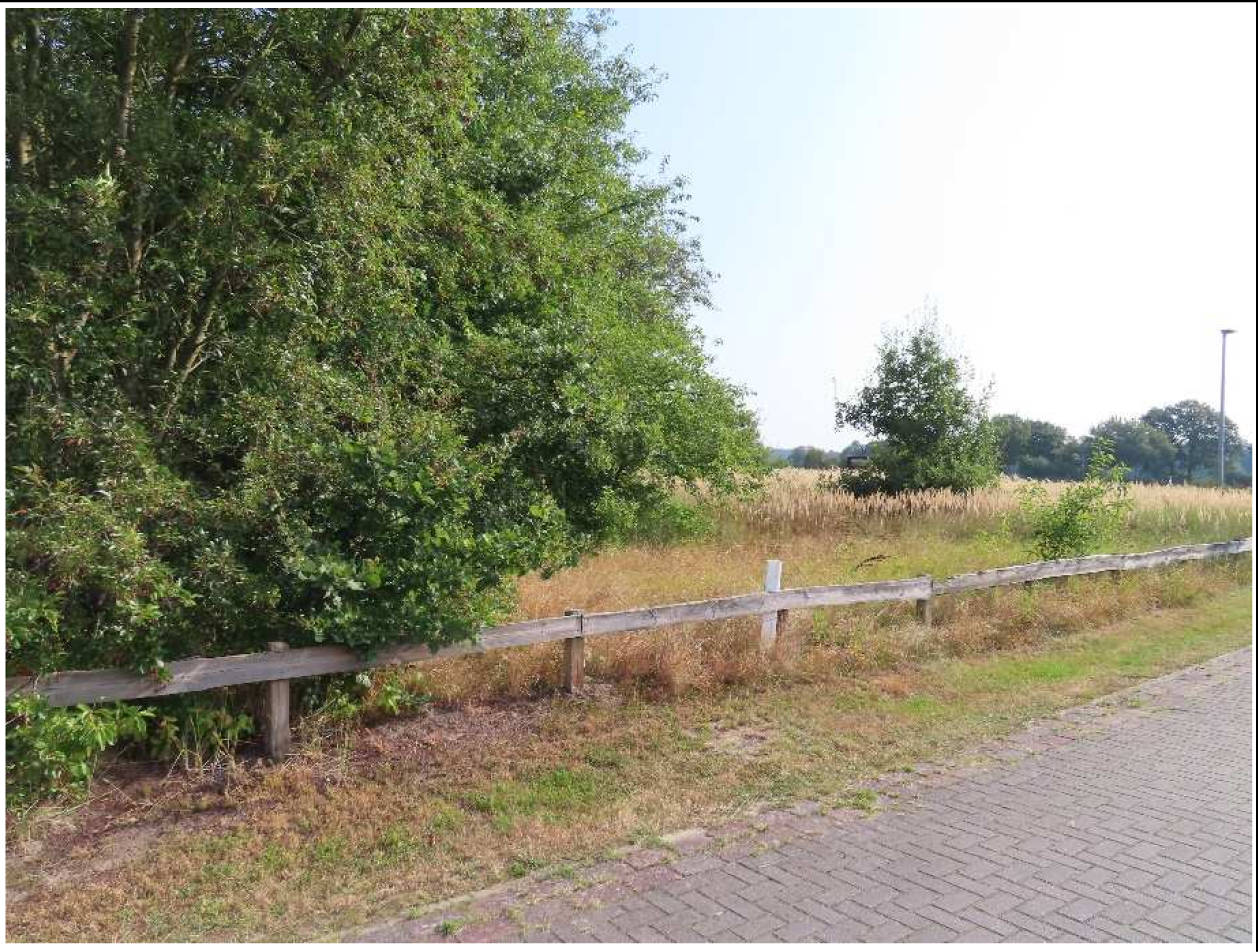 Baugrundstück in Im Trunnenmoor 14, 29351 Eldingen - Metzingen - Bild 2