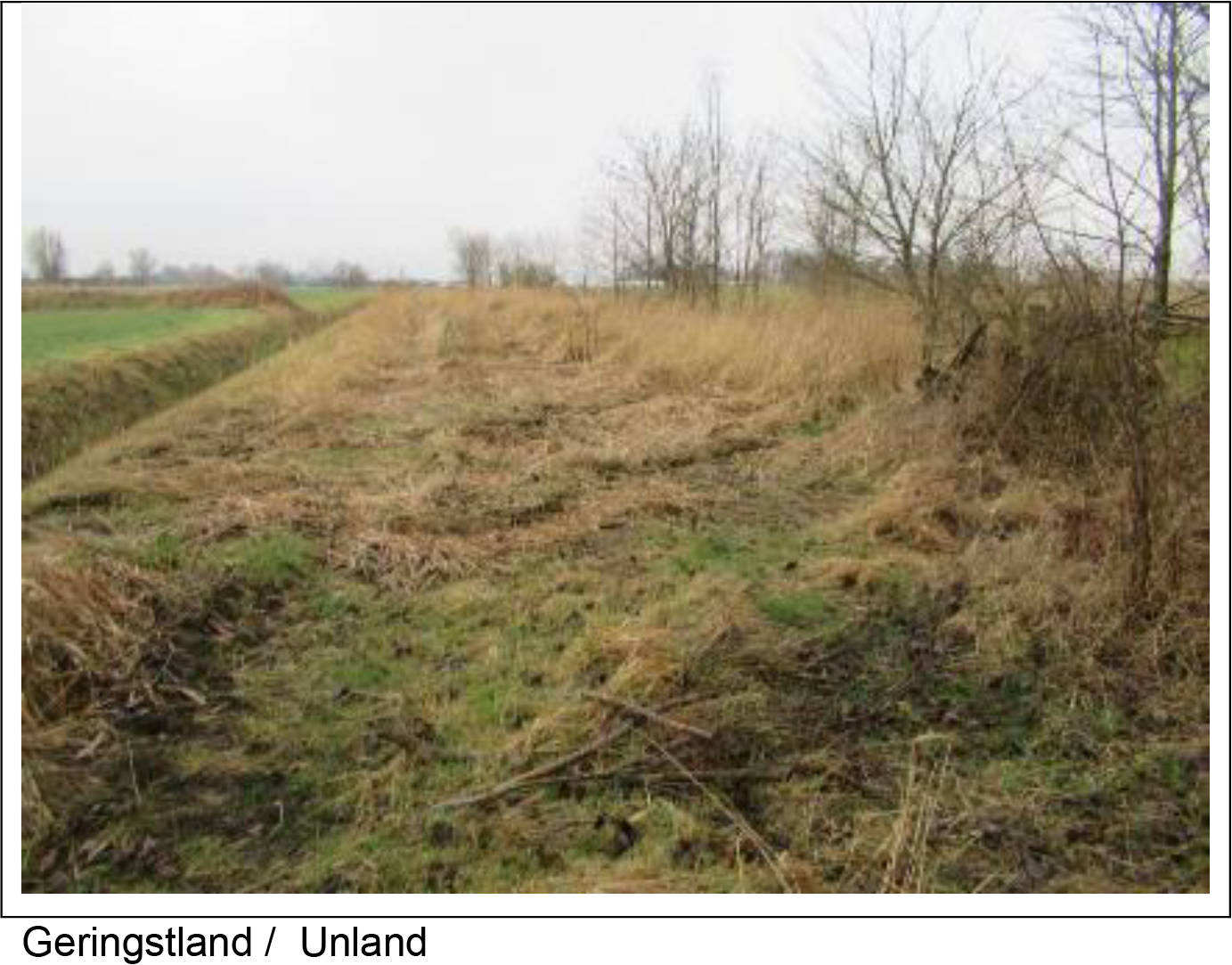 Einfamilienhaus, Sonstiges in Butterburg 23, 26409 Wittmund, Burhafe - Bild 4