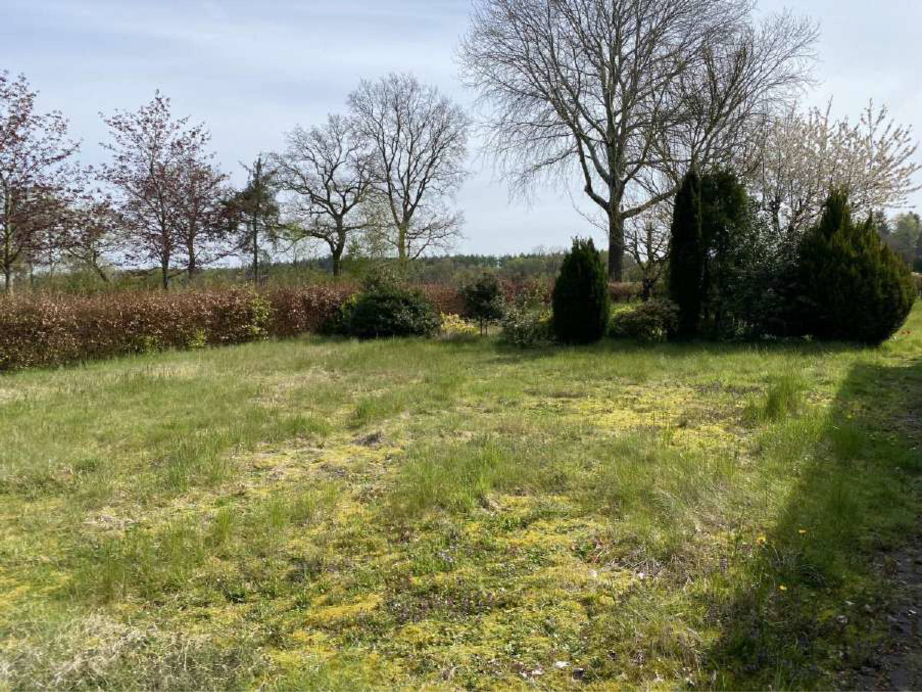 niedersachsen 0031K0006/2023 Zeteler Weg 3, 26446 Friedeburg, Bentstreek 9