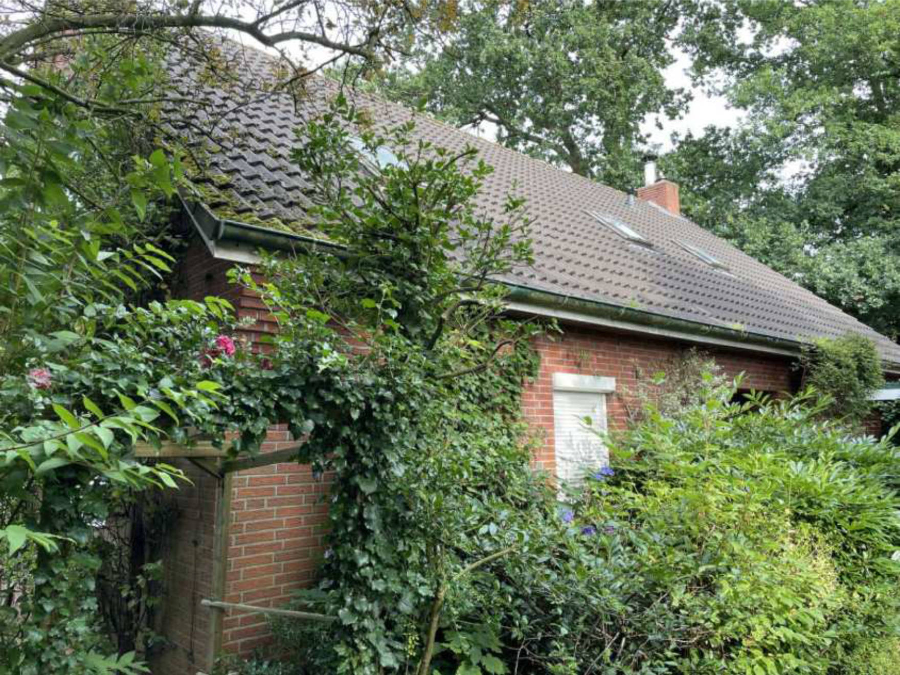 niedersachsen 0031K0008-2024 Buchenweg 12, 26409 Wittmund 16