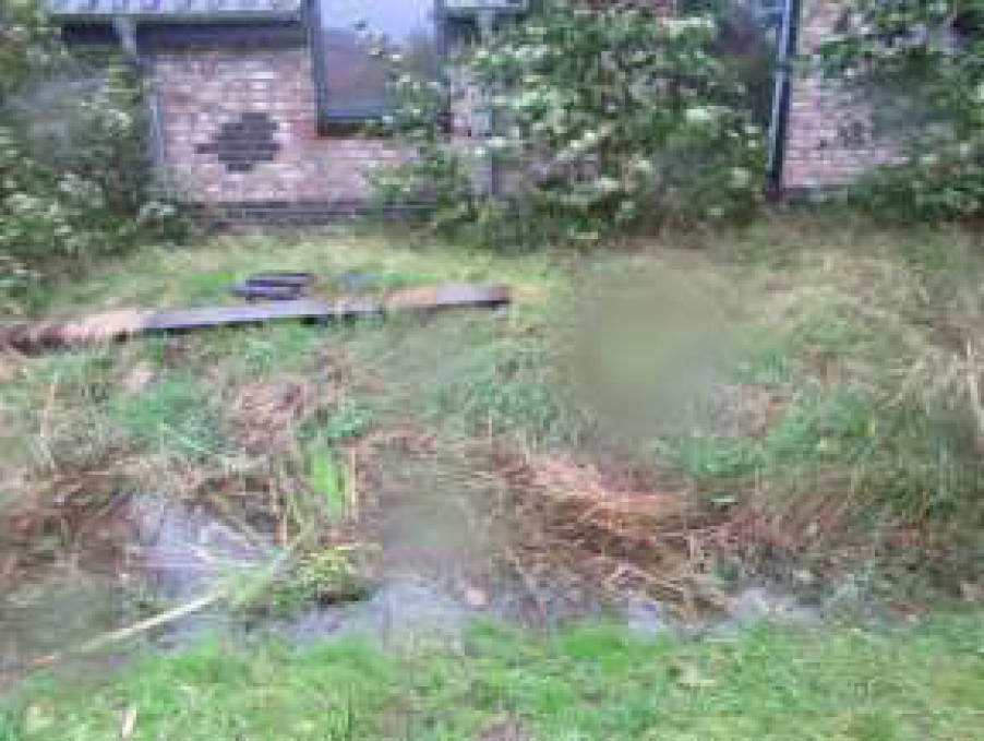 Mehrfamilienhaus in Negenmeertener Straße 2, 26489 Ostochtersum - Bild 3