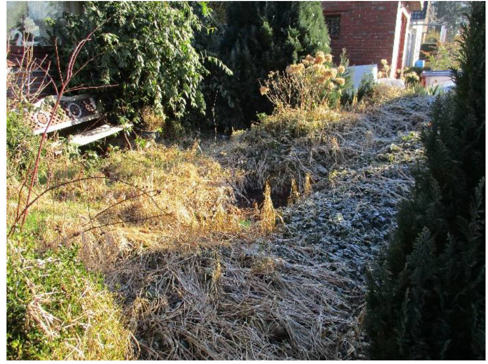 niedersachsen 0034 K 0016/2024 Am Schmeel 107, 26135 Oldenburg, Krusenbusch 7