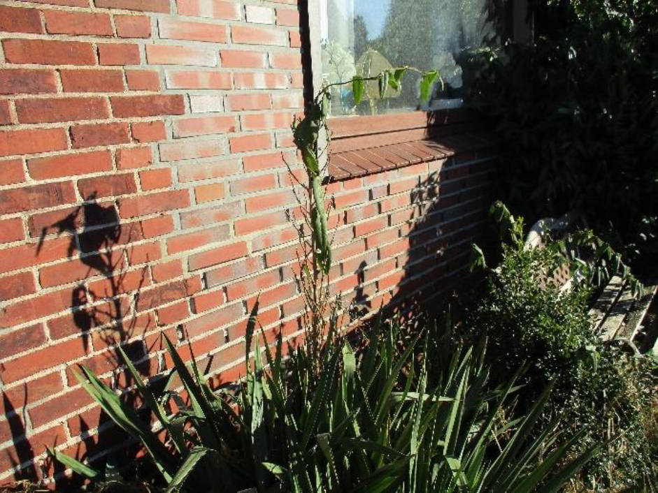 niedersachsen 0034 K 0016/2024 Am Schmeel 107, 26135 Oldenburg, Krusenbusch 13