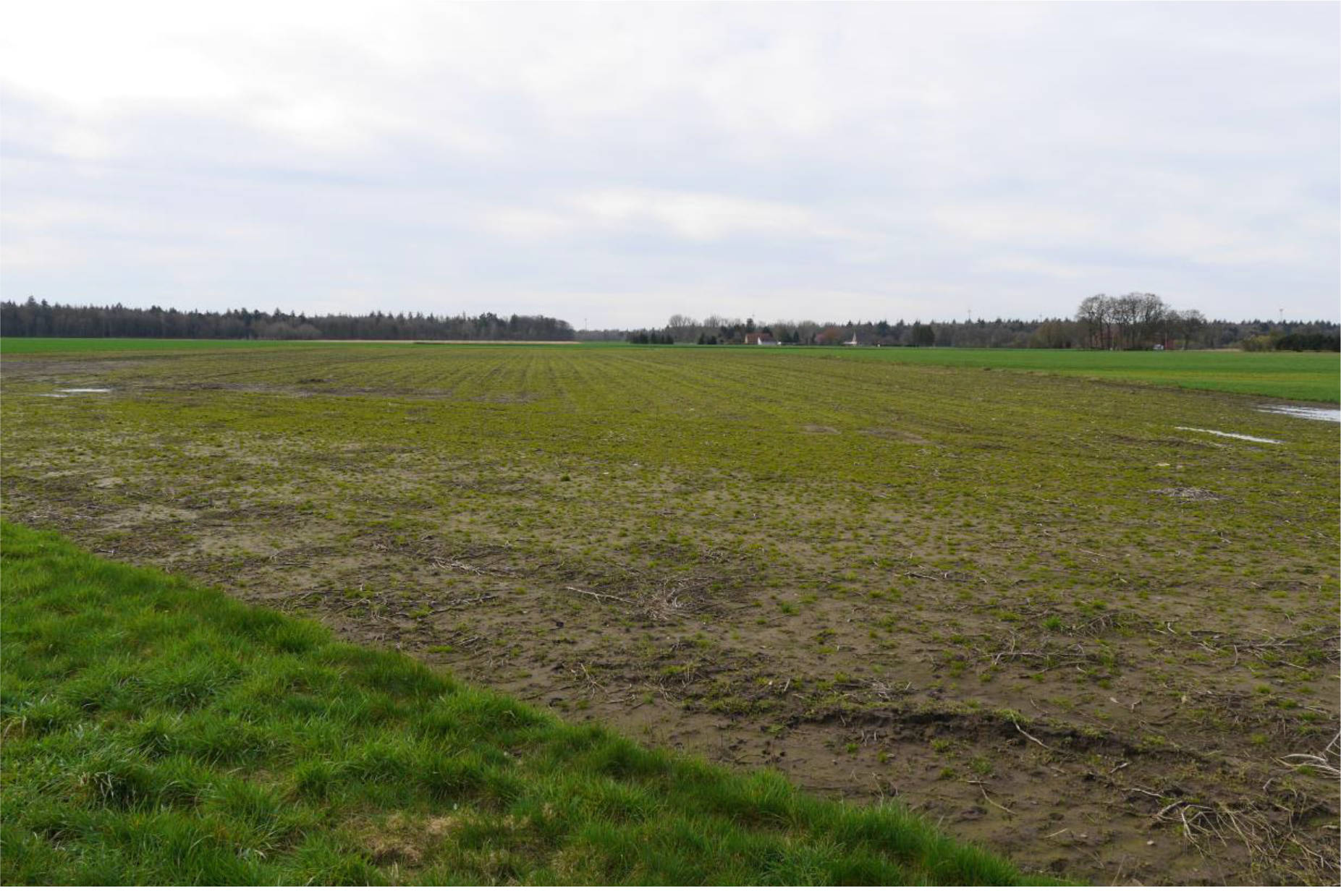 land- und forstwirtschaftlich genutztes Grundstück in Hache  5, 27305 Bruchhausen-Vilsen, Engeln - Bild 4