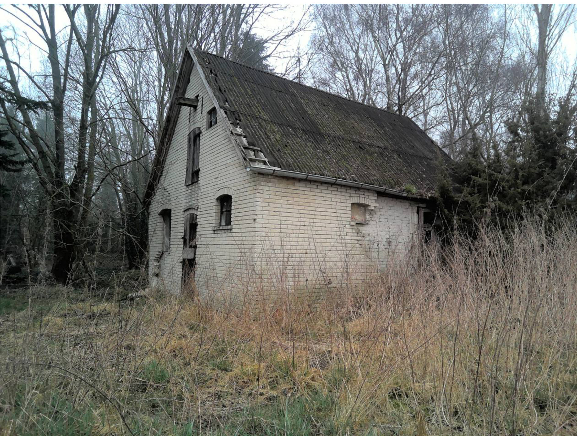 Sonstiges in Burgstraße  13, 27305 Bruchhausen-Vilsen - Bild 4