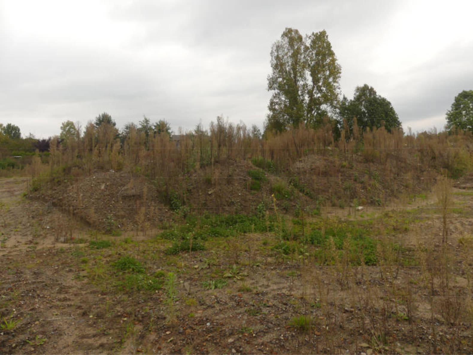 niedersachsen 0039K0010-2021 Karl-Schiller-Straße, 29225 Celle