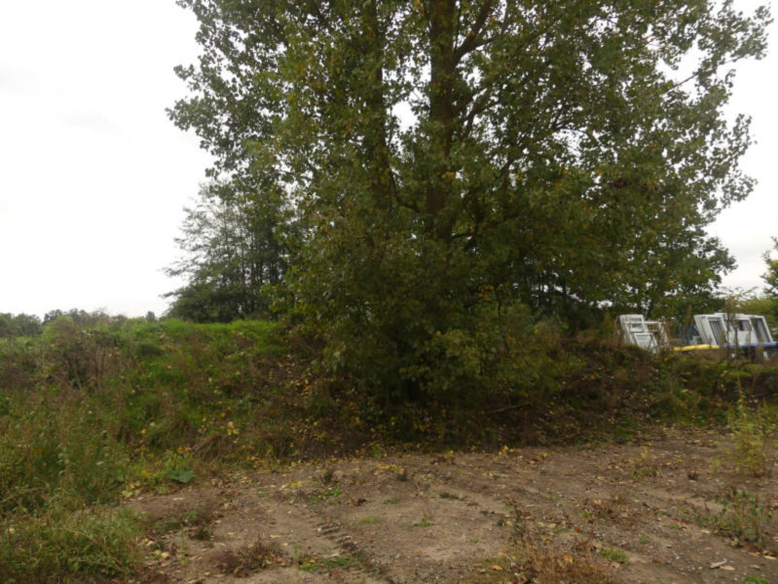niedersachsen 0039K0010-2021 Karl-Schiller-Straße, 29225 Celle