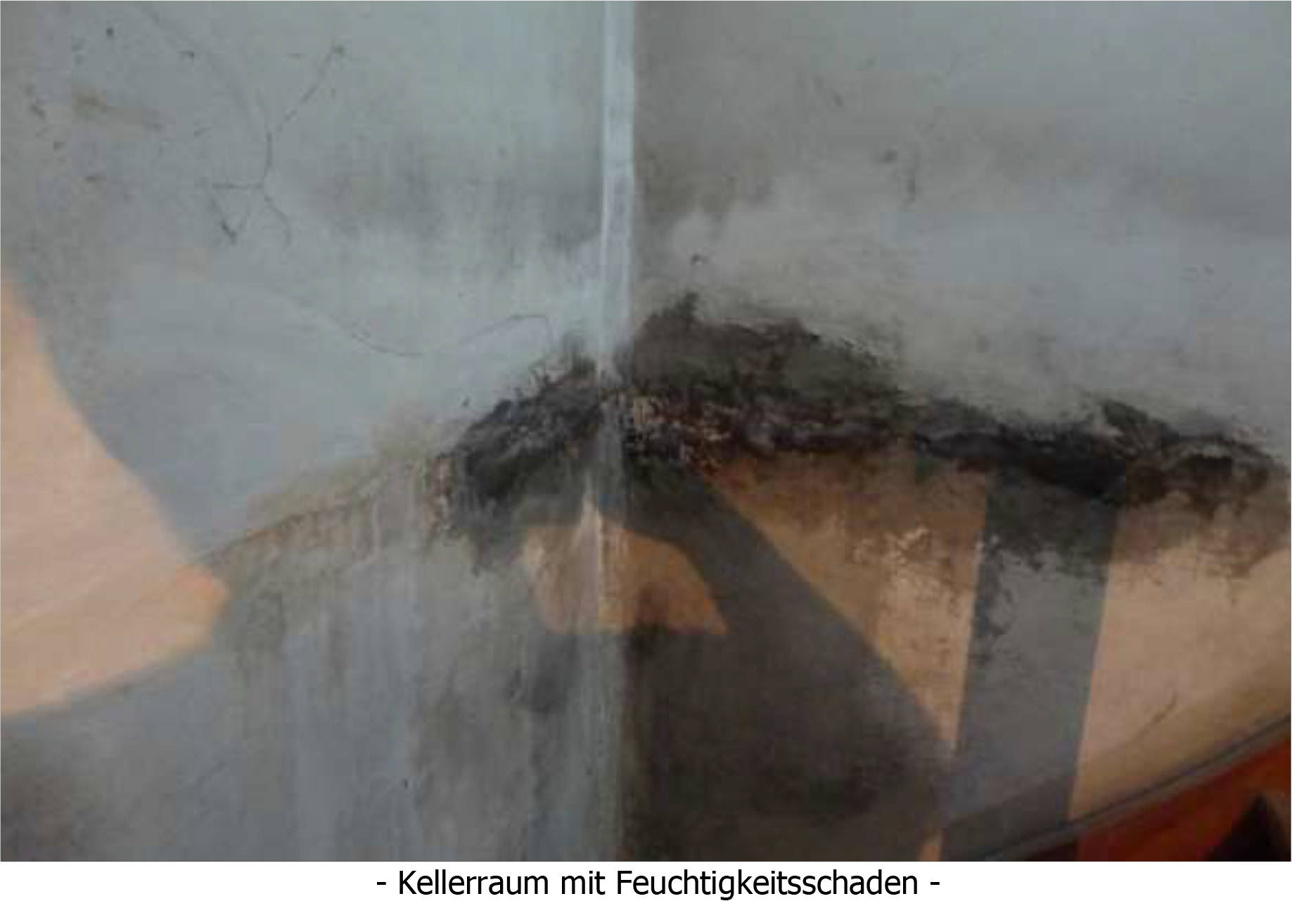 niedersachsen 0066K2008-2022 Bentshöhe 5, 26655 Westerstede 10