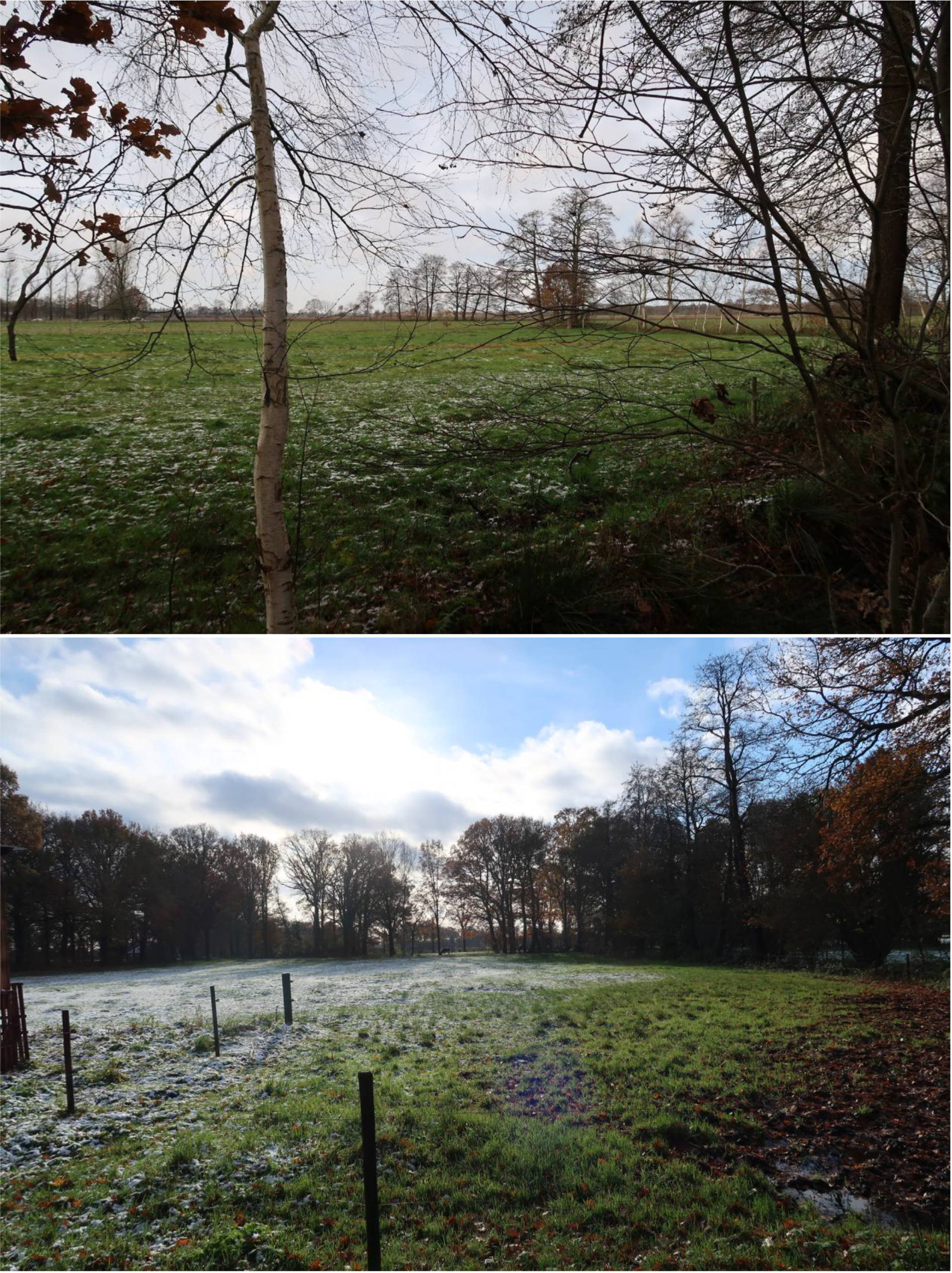 Sonstiges in Eulenweg 9, 26689 Apen, Tange