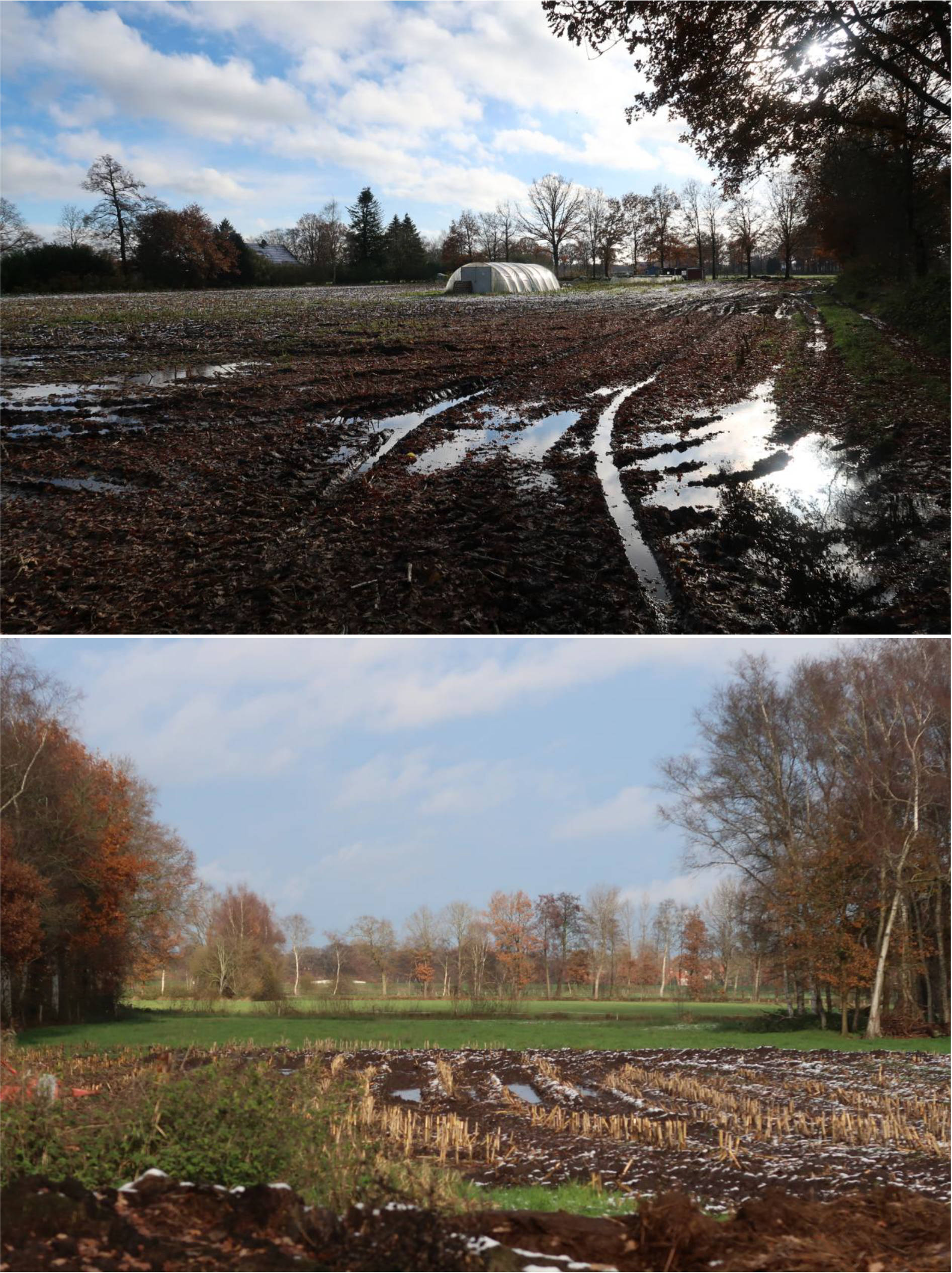Sonstiges in Eulenweg 9, 26689 Apen, Tange - Bild 4
