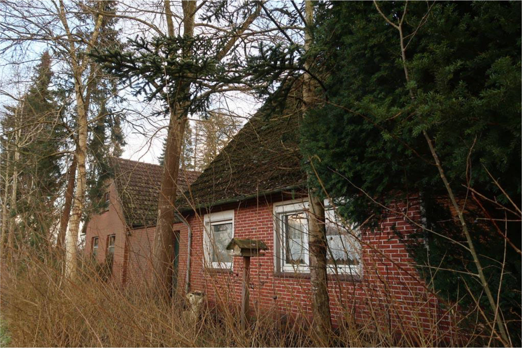 Einfamilienhaus in Drosselgasse 6, 26689 Apen