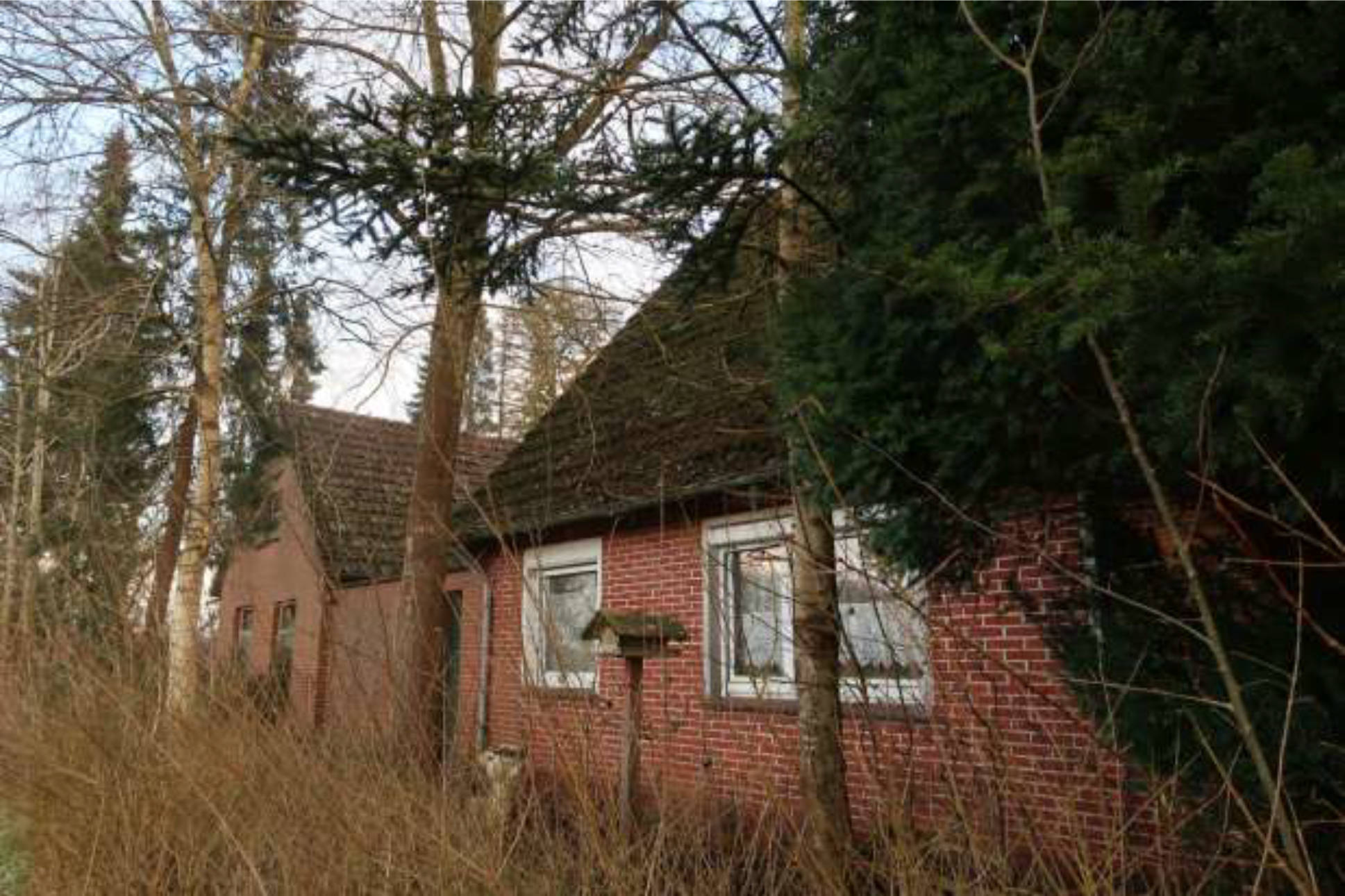 Einfamilienhaus in Drosselgasse 6, 26689 Apen - Bild 2