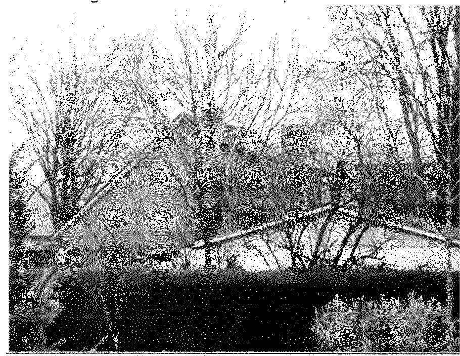 Einfamilienhaus in Fasanenweg 8, 21726 Oldendorf - Bild 4