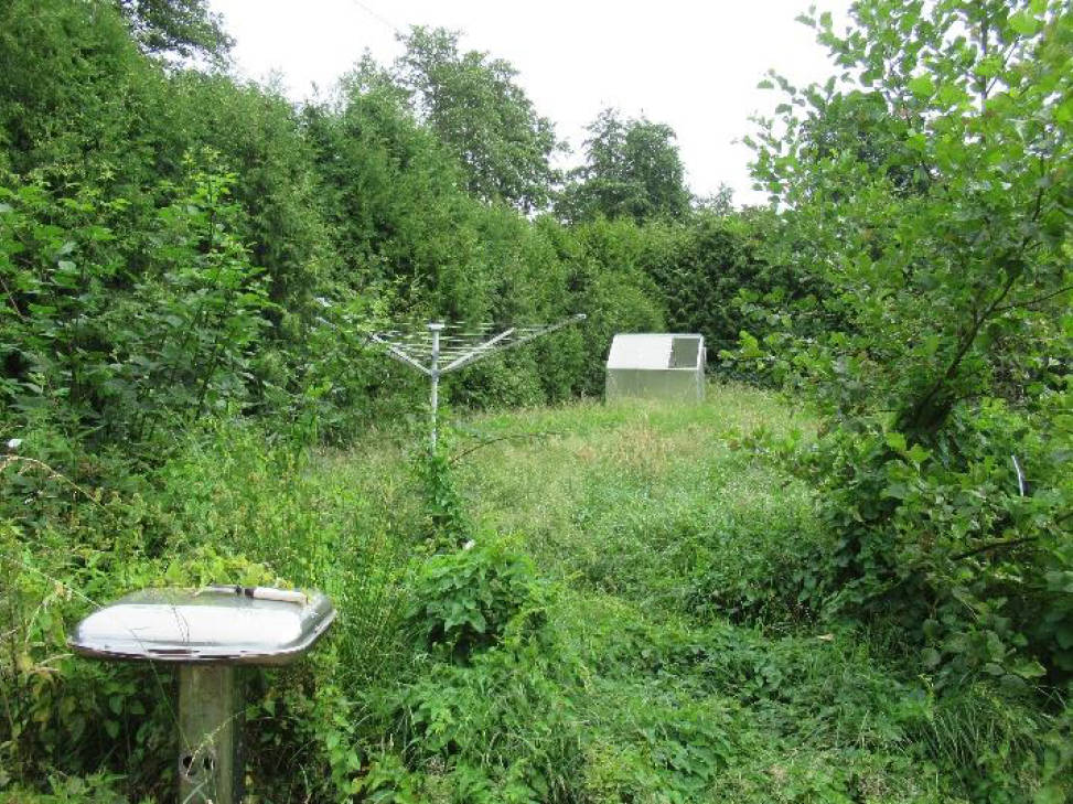 niedersachsen 0135 K 0002/2025 Weidenweg 12, 26789 Leer, Loga 10