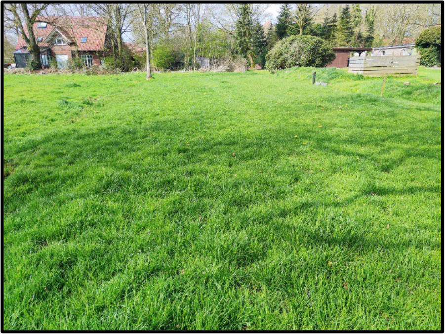 niedersachsen 0135K0028-2021 Backemoorer Straße 84, 26817 Rhauderfehn, Backemoor 10