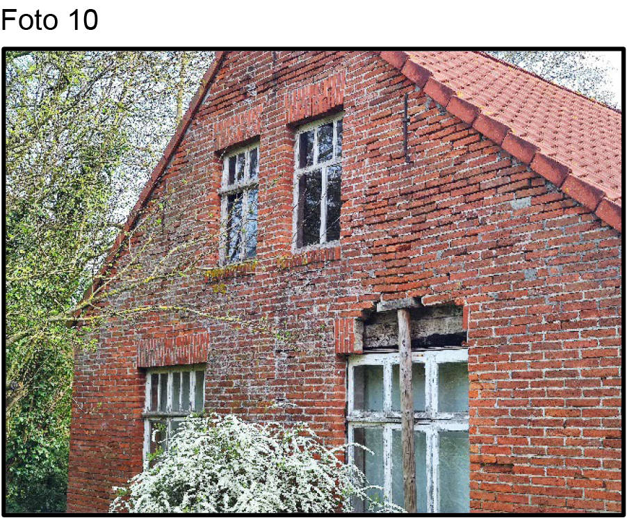 land- und forstwirtschaftlich genutztes Grundstück in Backemoorer Straße 84, 26817 Rhauderfehn, Backemoor
