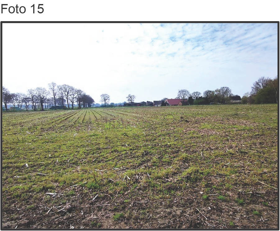 land- und forstwirtschaftlich genutztes Grundstück in Backemoorer Straße 84, 26817 Rhauderfehn, Backemoor - Bild 3