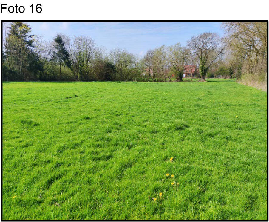 niedersachsen 0135K0028-2021 Backemoorer Straße 84, 26817 Rhauderfehn, Backemoor 14