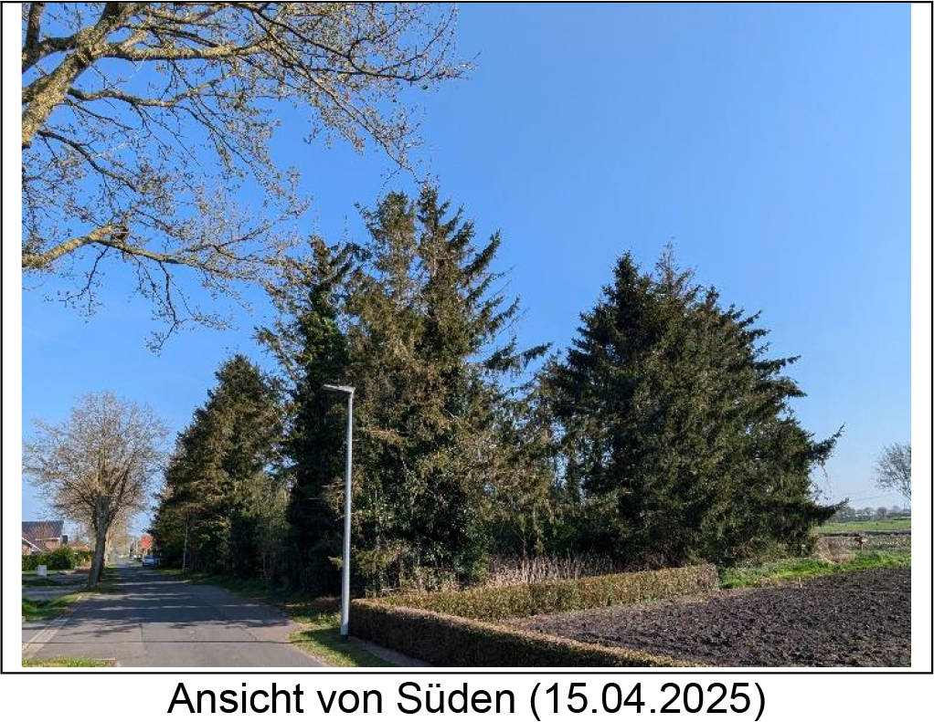 Sonstiges, unbebaute Gehölzfläche in Bauten, 26831 Bunde, Boen