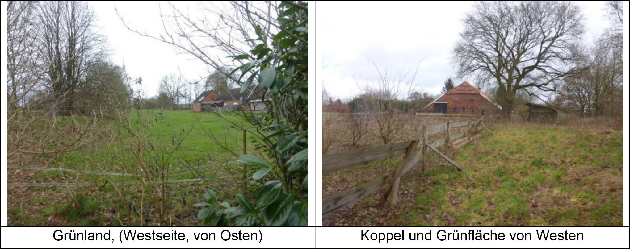 niedersachsen 0135K0048/2024 Osseweg 90, 26826 Weener, Dielerheide 19