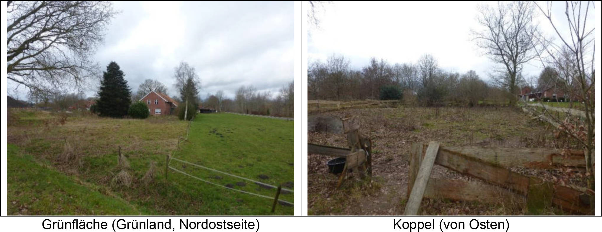 niedersachsen 0135K0048/2024 Osseweg 90, 26826 Weener, Dielerheide 15