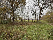 niedersachsen 12 K 16/25 Seehausen 8, 27478 Cuxhaven 9