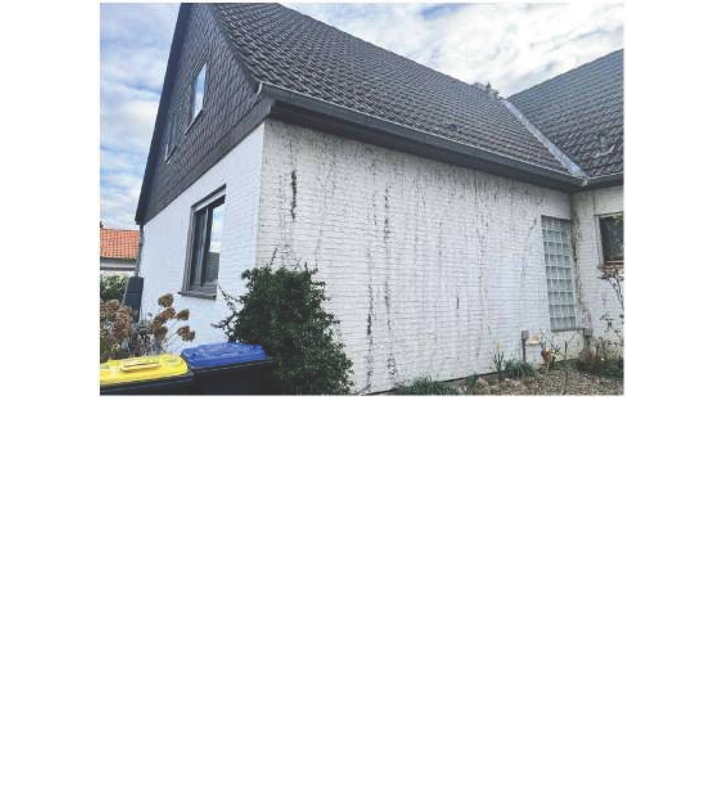 Einfamilienhaus in Rosenwall 8a, 38300 Wolfenbüttel - Bild 3