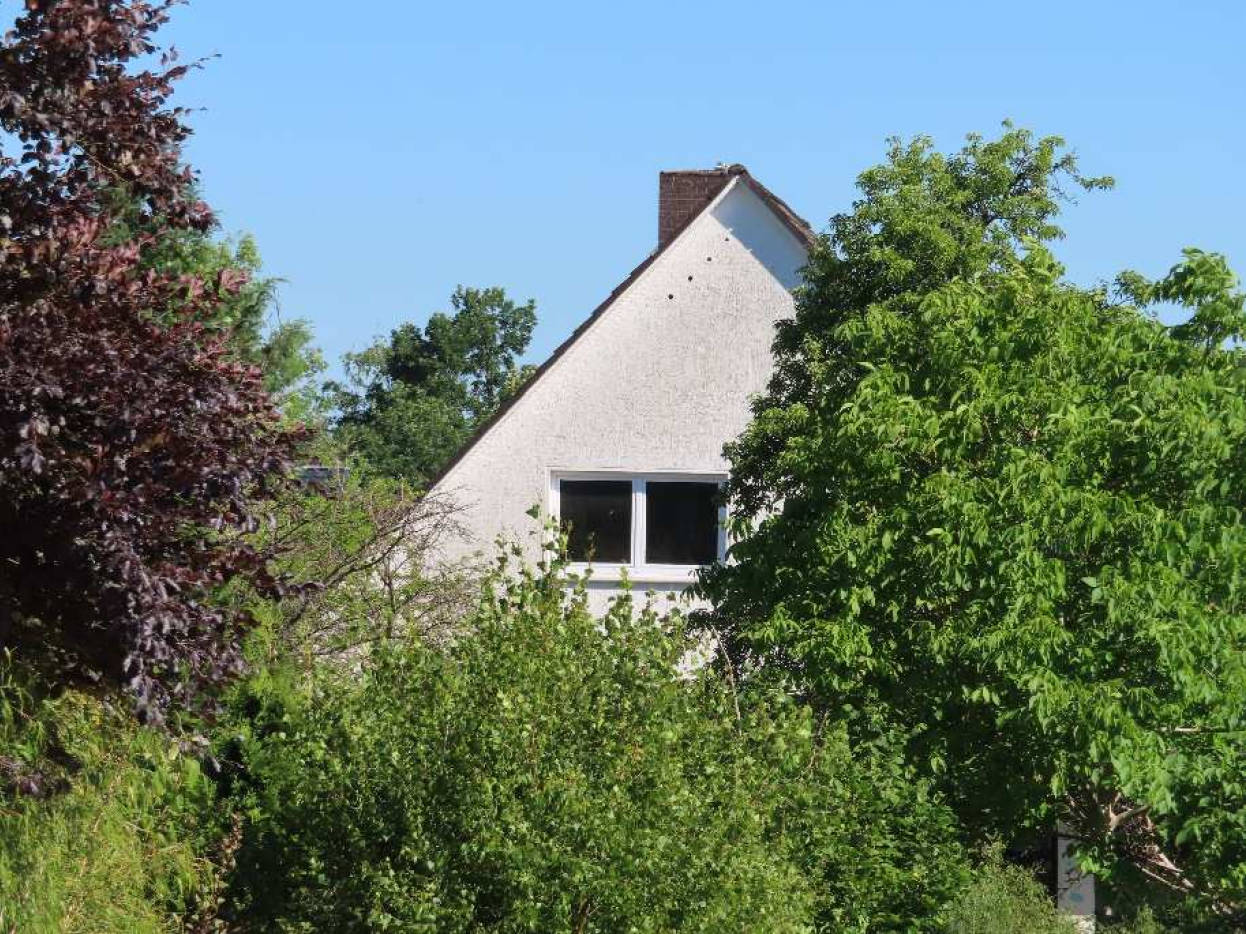 niedersachsen 39 K 3/22 Urwaldschneise 28A, 29345 Südheide 5