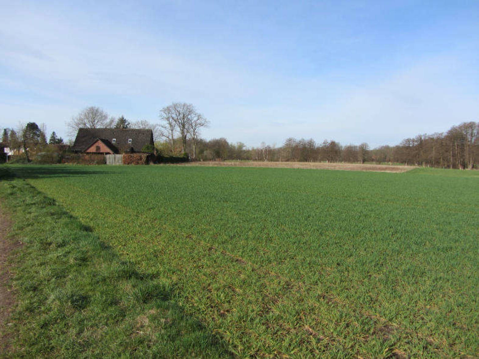 Land-/Forstwirtschaft in , 29553 Bienenbüttel - Hohenbostel - Bild 3